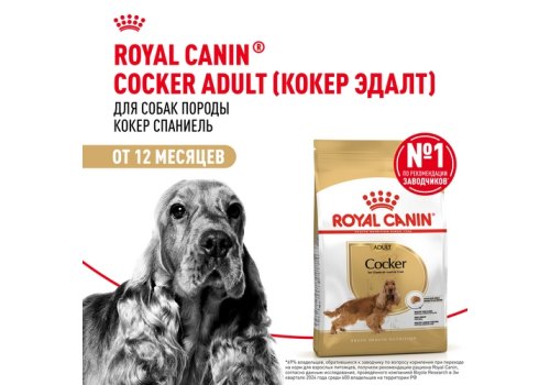 Royal Canin Breed dog Cocker Adult / Сухой корм Роял Канин для взрослых собак породы Кокер Спаниель старше 1 года Royal Canin Breed dog Cocker Adult / Сухой корм Роял Канин для взрослых собак породы Кокер Спаниель старше 1 года