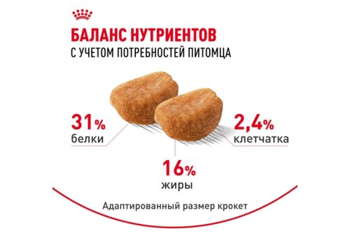 Royal Canin Breed dog Rottweiler Puppy / Сухой корм Роял Канин для Щенков породы Ротвейлер в возрасте до 18 месяцев