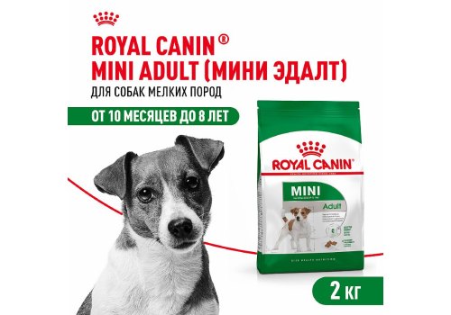 Royal Canin Mini Adult / Сухой корм Роял Канин Мини Эдалт для взрослых собак Мелких пород в возрасте от 10 месяцев до 8 лет