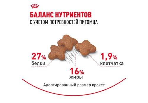 Royal Canin Mini Adult 8+ / Сухой корм Роял Канин Мини для Пожилых собак Мелких пород старше 8 лет