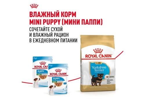 Royal Canin Breed dog Yorkshire Terrier Puppy / Сухой корм Роял Канин для Щенков породы Йоркширский Терьер в возрасте от 2 до 10 месяцев