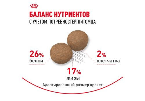 Royal Canin Maxi Adult / Сухой корм Роял Канин Макси Эдалт для Взрослых собак Крупных пород в возрасте от 15 месяцев до 5 лет
