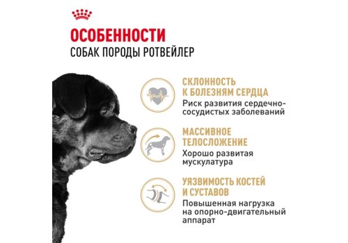 Royal Canin Breed dog Rottweiler Adult / Сухой корм Роял Канин для взрослых собак породы Ротвейлер старше 18 месяцев