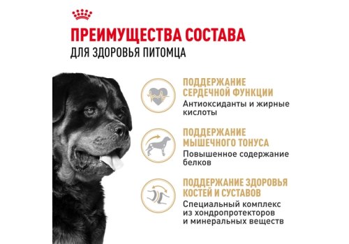 Royal Canin Breed dog Rottweiler Adult / Сухой корм Роял Канин для взрослых собак породы Ротвейлер старше 18 месяцев