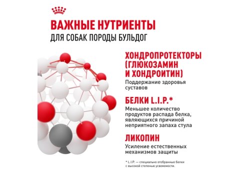 Royal Canin Breed dog Bulldog Adult / Сухой корм Роял Канин для взрослых собак породы Английский Бульдог старше 1 года