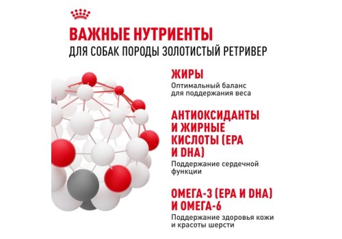 Royal Canin Breed dog Golden Retriever Adult / Сухой корм Роял Канин для взрослых собак породы Голден Ретривер старше 15 месяцев