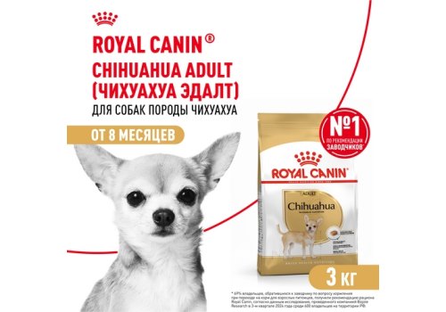 Royal Canin Breed dog Chihuahua Adult / Сухой корм Роял Канин для взрослых собак породы Чихуахуа старше 8 месяцев Royal Canin Breed dog Chihuahua Adult / Сухой корм Роял Канин для взрослых собак породы Чихуахуа старше 8 месяцев