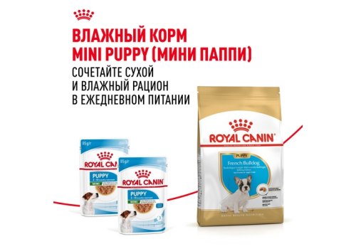 Royal Canin Breed dog French Bulldog Puppy / Сухой корм Роял Канин для Щенков породы Французский Бульдог в возрасте до 1 года