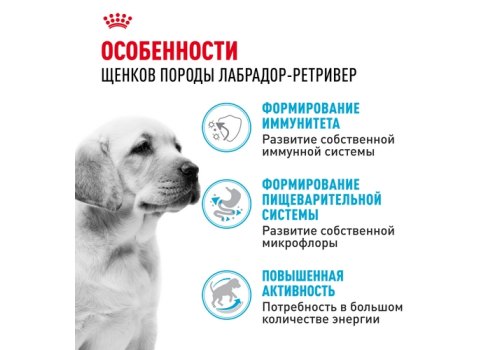 Royal Canin Breed dog Labrador Retriever Puppy / Сухой корм Роял Канин для Щенков породы Лабрадор в возрасте до 15 месяцев