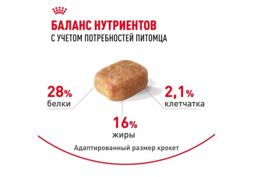 Royal Canin Breed dog Chihuahua Adult / Сухой корм Роял Канин для взрослых собак породы Чихуахуа старше 8 месяцев