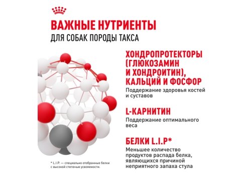 Royal Canin Breed dog Dachshund Adult / Сухой корм Роял Канин для взрослых собак породы Такса старше 10 месяцев