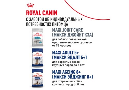 Royal Canin Maxi Adult / Сухой корм Роял Канин Макси Эдалт для Взрослых собак Крупных пород в возрасте от 15 месяцев до 5 лет