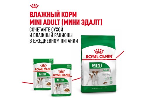 Royal Canin Mini Adult 8+ / Сухой корм Роял Канин Мини для Пожилых собак Мелких пород старше 8 лет