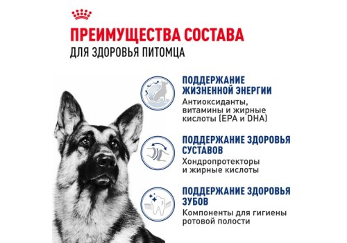 Royal Canin Maxi Adult 5+ / Сухой корм Роял Канин Макси Эдалт 5+ для взрослых собак Крупных пород в возрасте от 5 до 8 лет