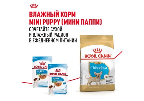Royal Canin Breed dog Chihuahua Junior / Сухой корм Роял Канин для Щенков породы Чихуахуа в возрасте до 8 месяцев