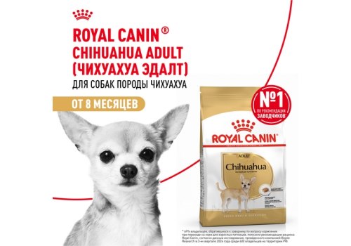 Royal Canin Breed dog Chihuahua Adult / Сухой корм Роял Канин для взрослых собак породы Чихуахуа старше 8 месяцев