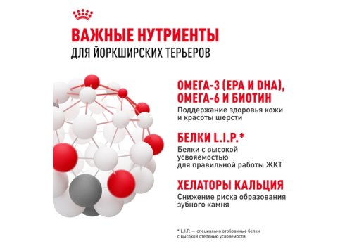 Royal Canin Breed dog Yorkshire Terrier Adult / Сухой корм Роял Канин для взрослых собак породы Йоркширский Терьер старше 10 месяцев