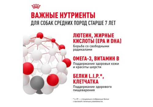 Royal Canin Medium Adult 7+ / Сухой корм Роял Канин Медиум для Пожилых собак Средних пород старше 7 лет Royal Canin Medium Adult 7+ / Сухой корм Роял Канин Медиум для Пожилых собак Средних пород старше 7 лет