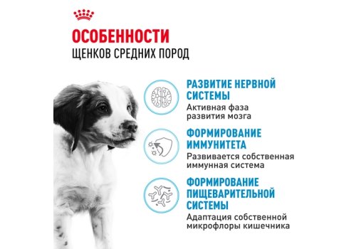 Royal Canin Medium Puppy / Сухой корм Роял Канин Медиум Паппи для Щенков Средних пород в возрасте от 2 до 12 месяцев