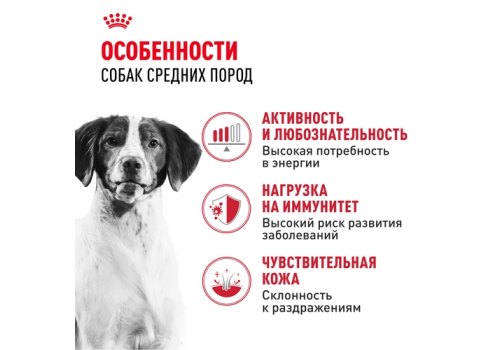 Royal Canin Medium Adult / Сухой корм Роял Канин Медиум Эдалт для Взрослых собак Средних пород в возрасте от 1 года до 7 лет