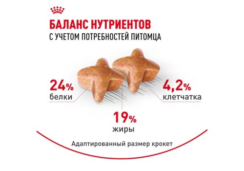 Royal Canin Breed dog German Shepherd Adult / Сухой корм Роял Канин для взрослых собак породы Немецкая Овчарка старше 15 месяцев
