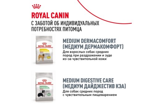 Royal Canin Breed dog Cocker Adult / Сухой корм Роял Канин для взрослых собак породы Кокер Спаниель старше 1 года Royal Canin Breed dog Cocker Adult / Сухой корм Роял Канин для взрослых собак породы Кокер Спаниель старше 1 года
