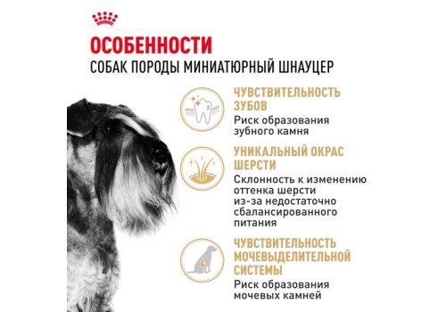 Royal Canin Breed dog Miniature Schnauzer Adult / Сухой корм Роял Канин для взрослых собак породы Миниатюрный Шнауцер старше 10 месяцев Royal Canin Breed dog Miniature Schnauzer Adult / Сухой корм Роял Канин для взрослых собак породы Миниатюрный Шнауцер старше 10 месяцев