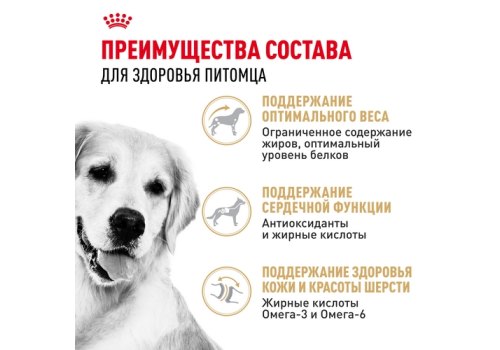 Royal Canin Breed dog Golden Retriever Adult / Сухой корм Роял Канин для взрослых собак породы Голден Ретривер старше 15 месяцев
