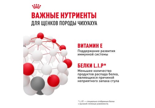Royal Canin Breed dog Chihuahua Junior / Сухой корм Роял Канин для Щенков породы Чихуахуа в возрасте до 8 месяцев
