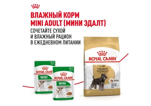 Royal Canin Breed dog Miniature Schnauzer Adult / Сухой корм Роял Канин для взрослых собак породы Миниатюрный Шнауцер старше 10 месяцев