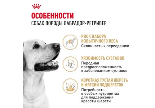 Royal Canin Breed dog Labrador Retriever Adult / Сухой корм Роял Канин для взрослых собак породы Лабрадор старше 15 месяцев