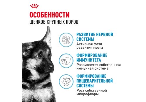 Royal Canin Maxi Puppy / Сухой корм Роял Канин Макси Паппи для Щенков Крупных пород в возрасте от 2 до 15 месяцев
