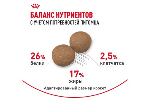 Royal Canin Maxi Adult 5+ / Сухой корм Роял Канин Макси Эдалт 5+ для взрослых собак Крупных пород в возрасте от 5 до 8 лет