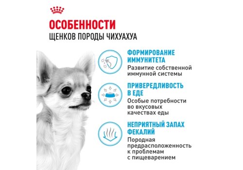 Royal Canin Breed dog Chihuahua Junior / Сухой корм Роял Канин для Щенков породы Чихуахуа в возрасте до 8 месяцев