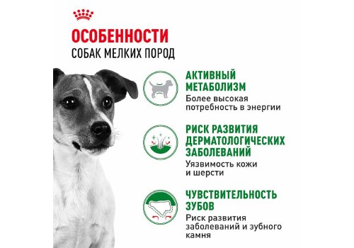 Royal Canin Mini Adult / Сухой корм Роял Канин Мини Эдалт для взрослых собак Мелких пород в возрасте от 10 месяцев до 8 лет