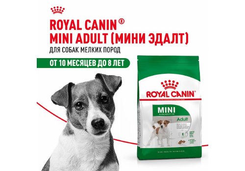 Royal Canin Mini Adult / Сухой корм Роял Канин Мини Эдалт для взрослых собак Мелких пород в возрасте от 10 месяцев до 8 лет
