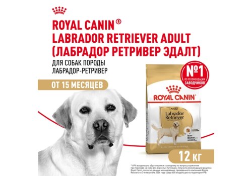 Royal Canin Breed dog Labrador Retriever Adult / Сухой корм Роял Канин для взрослых собак породы Лабрадор старше 15 месяцев