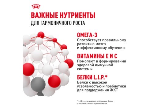 Royal Canin Medium Puppy / Сухой корм Роял Канин Медиум Паппи для Щенков Средних пород в возрасте от 2 до 12 месяцев Royal Canin Medium Puppy / Сухой корм Роял Канин Медиум Паппи для Щенков Средних пород в возрасте от 2 до 12 месяцев