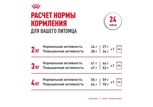 Royal Canin Breed dog Chihuahua Adult / Сухой корм Роял Канин для взрослых собак породы Чихуахуа старше 8 месяцев