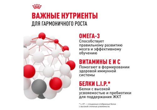 Royal Canin Mini Puppy / Сухой корм Роял Канин Мини Паппи для Щенков Мелких пород в возрасте от 2 до 10 месяцев