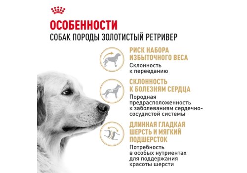 Royal Canin Breed dog Golden Retriever Adult / Сухой корм Роял Канин для взрослых собак породы Голден Ретривер старше 15 месяцев