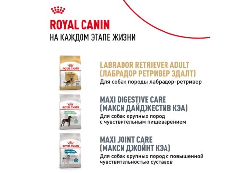 Royal Canin Breed dog Labrador Retriever Puppy / Сухой корм Роял Канин для Щенков породы Лабрадор в возрасте до 15 месяцев