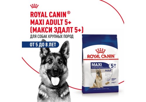 Royal Canin Maxi Adult 5+ / Сухой корм Роял Канин Макси Эдалт 5+ для взрослых собак Крупных пород в возрасте от 5 до 8 лет
