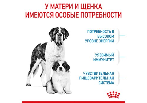 Royal Canin Giant Starter / Сухой корм Роял Канин Джайнт Стартер для Щенков Гигантских пород в возрасте до 2 месяцев