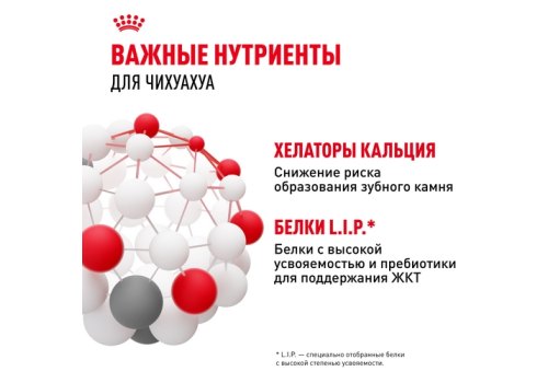 Royal Canin Breed dog Chihuahua Adult / Сухой корм Роял Канин для взрослых собак породы Чихуахуа старше 8 месяцев