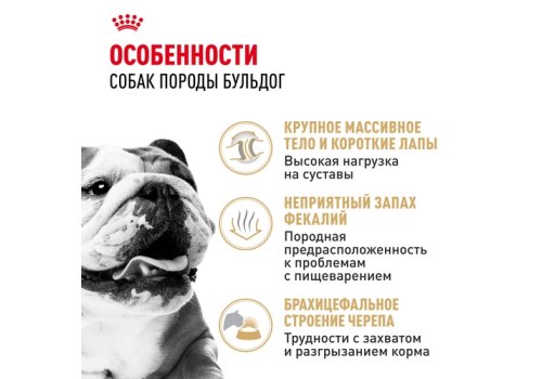 Royal Canin Breed dog Bulldog Adult / Сухой корм Роял Канин для взрослых собак породы Английский Бульдог старше 1 года