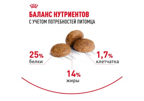 Royal Canin Medium Adult 7+ / Сухой корм Роял Канин Медиум для Пожилых собак Средних пород старше 7 лет