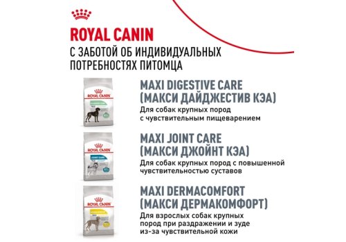 Royal Canin Breed dog Golden Retriever Adult / Сухой корм Роял Канин для взрослых собак породы Голден Ретривер старше 15 месяцев