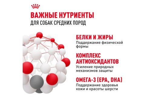 Royal Canin Medium Adult / Сухой корм Роял Канин Медиум Эдалт для Взрослых собак Средних пород в возрасте от 1 года до 7 лет