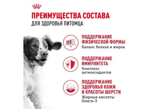 Royal Canin Medium Adult / Сухой корм Роял Канин Медиум Эдалт для Взрослых собак Средних пород в возрасте от 1 года до 7 лет